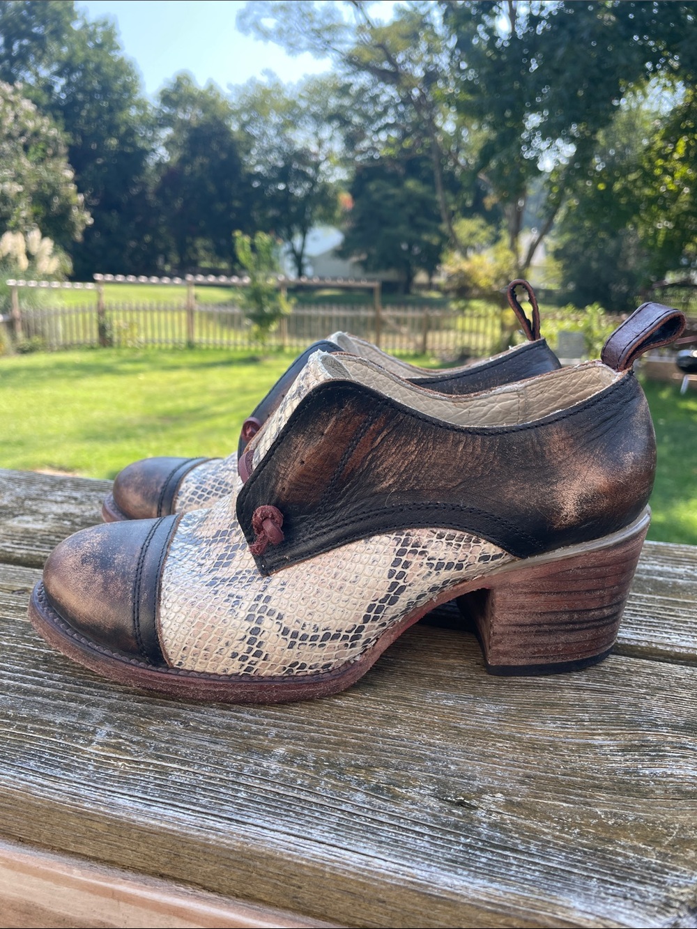 Freebird by Steven Brown & Cream Snake-Print Leather Heeled Oxfords